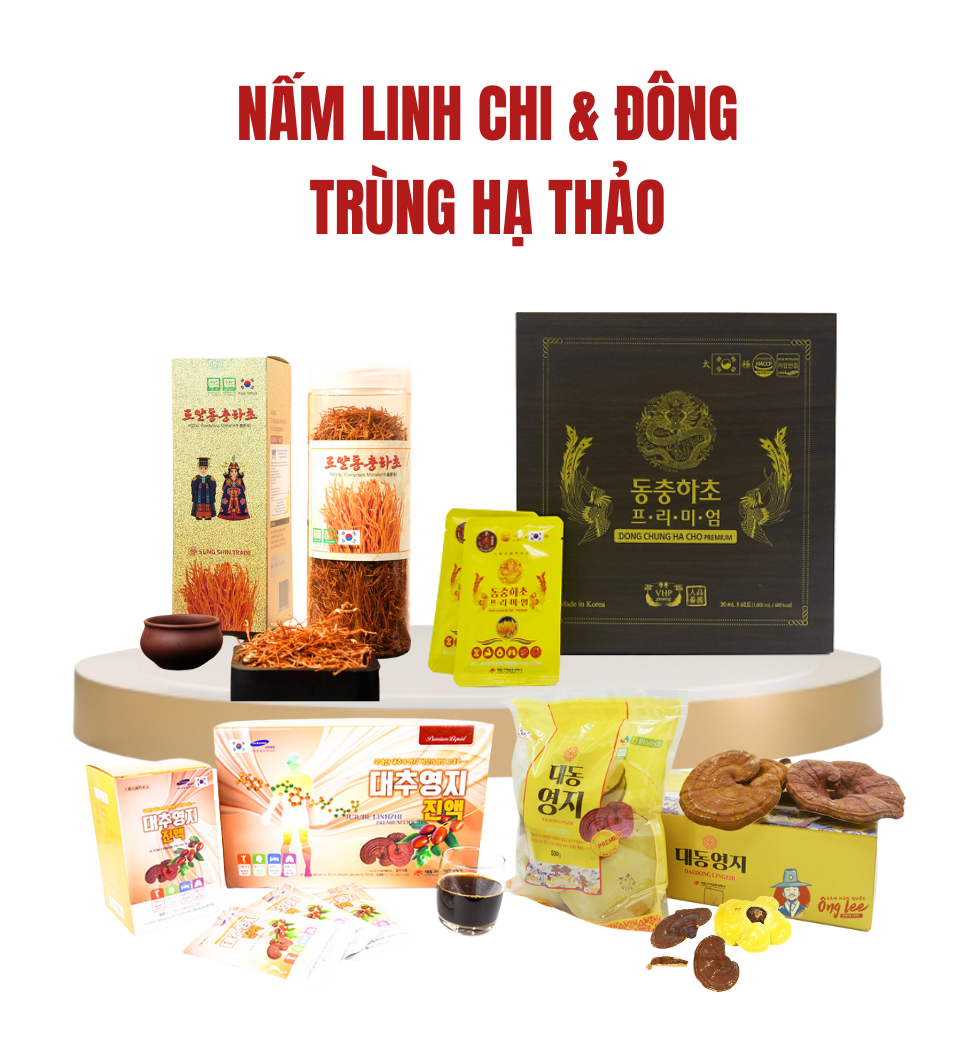 Nấm linh chi và đông trùng hạt hảo